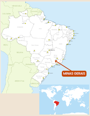 Specialty Grade: SA45, Brazil