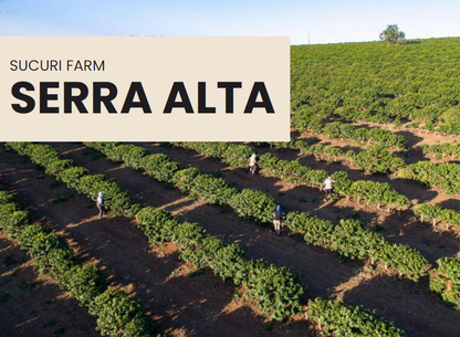 Catégorie spéciale : Serra Alta, Brésil