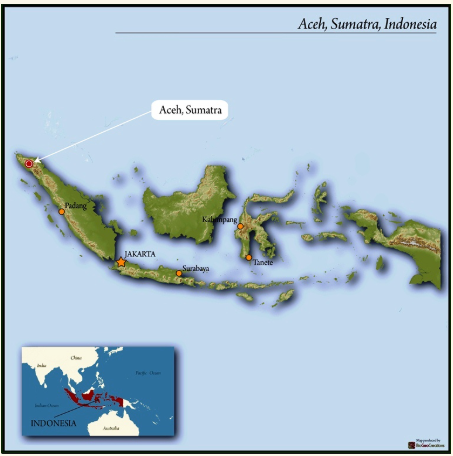 Grade 1: Royale, Sumatra